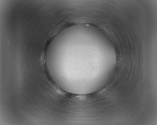 X0000073950478200608210947