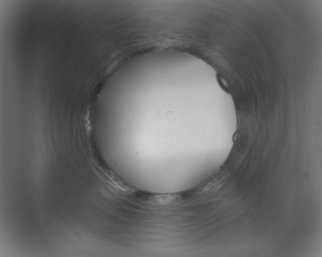 X0000073950479200608210947