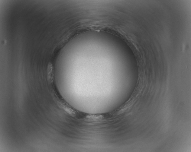 X0000073950480200608210947