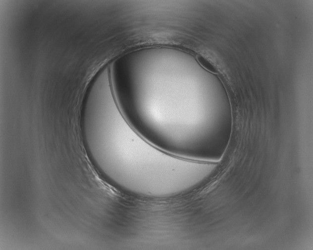 X0000073950481200608210946