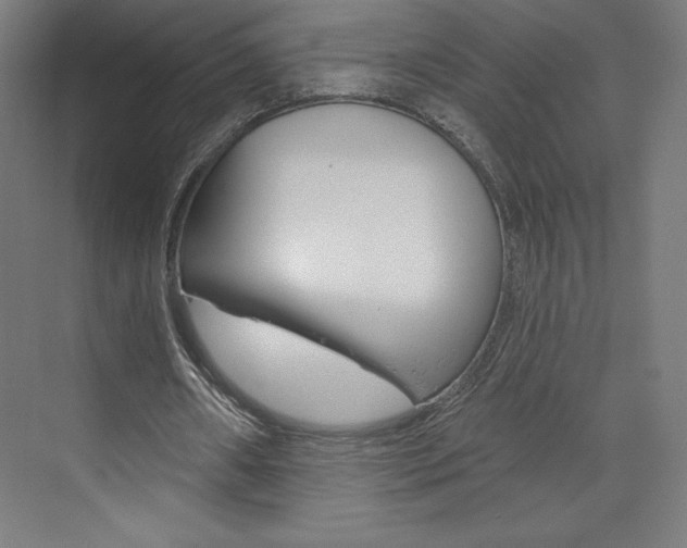 X0000073950482200608210946