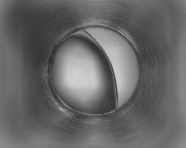 X0000073950485200608210946