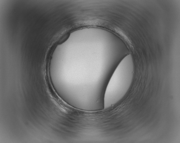 X0000073950486200608210946