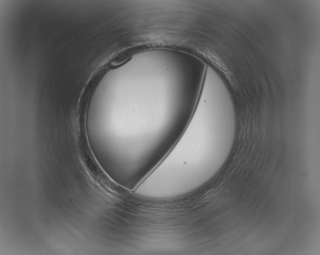 X0000073950488200608210946