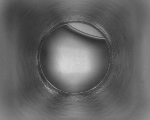X0000073950489200608210946