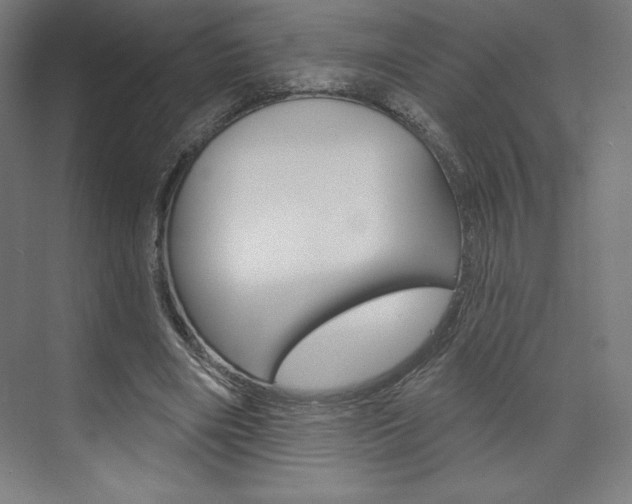X0000073950490200608210946
