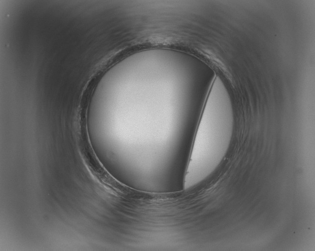 X0000073950492200608210946