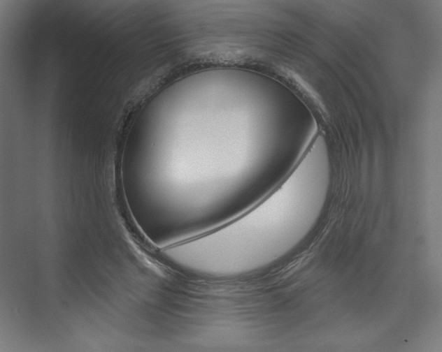X0000073950493200608210946