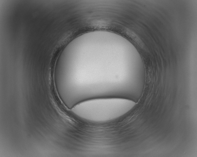 X0000073950494200608210946