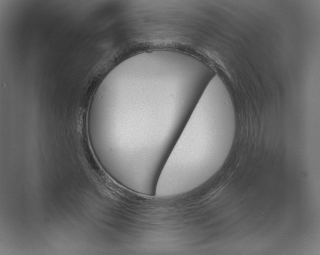 X0000073950495200608210946