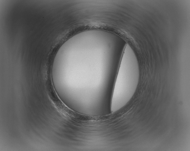 X0000073950496200608210946