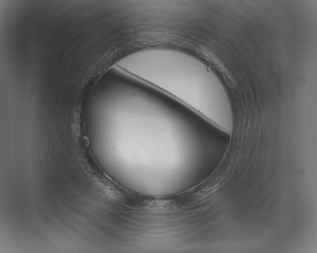 X0000073950497200608210946