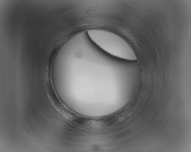 X0000073950498200608210946