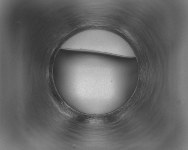 X0000073950500200608210946