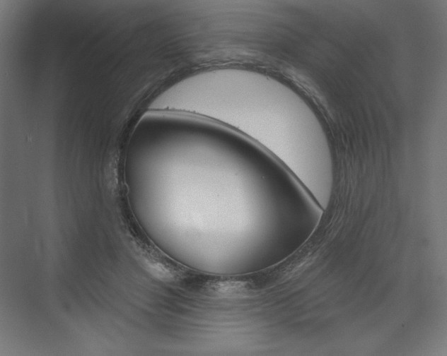 X0000073950501200608210946