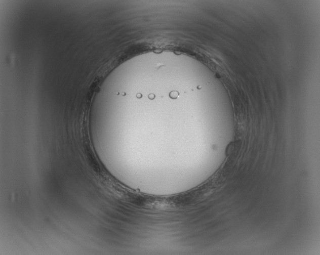 X0000073950503200608210946