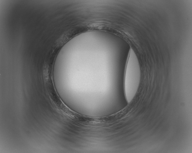 X0000073950504200608210946
