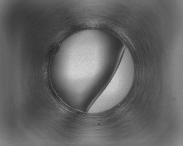 X0000073950505200608210946