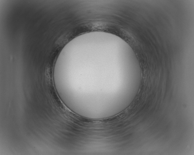 X0000073950506200608210946