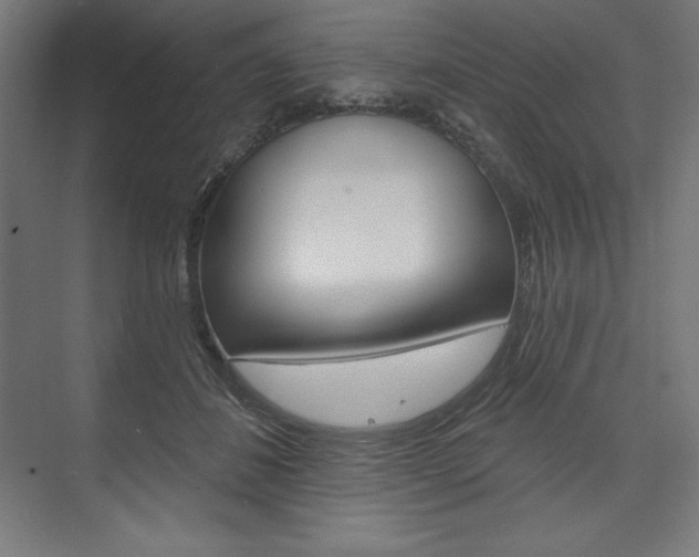 X0000073950508200608210946