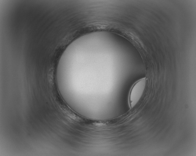X0000073950509200608210946