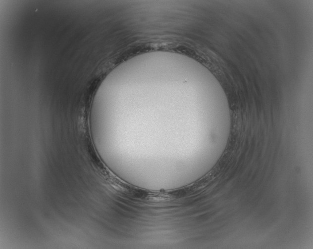 X0000073950510200608210946