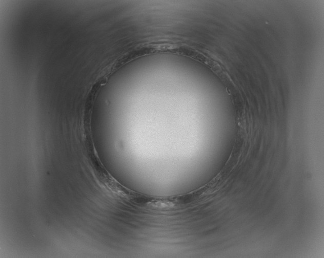 X0000073950512200608210946