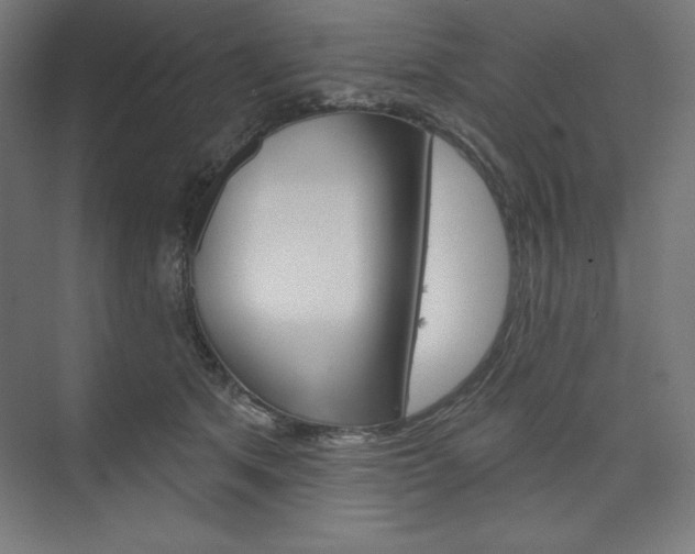 X0000073950513200608210946