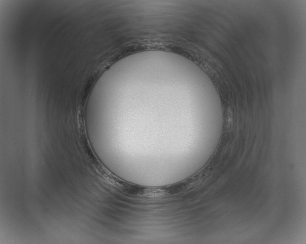 X0000073950514200608210946