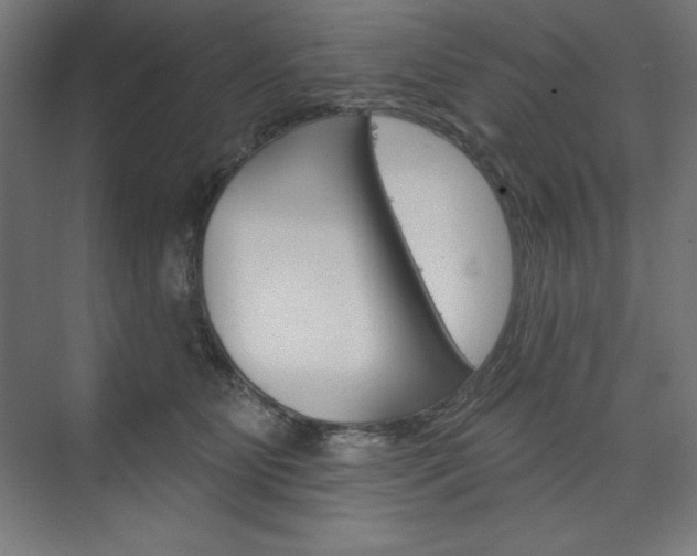 X0000073950515200608210946