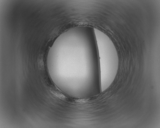 X0000073950516200608210946