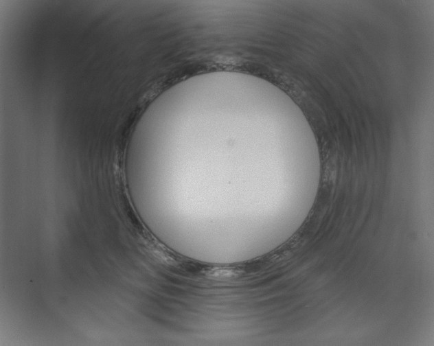 X0000073950518200608210946