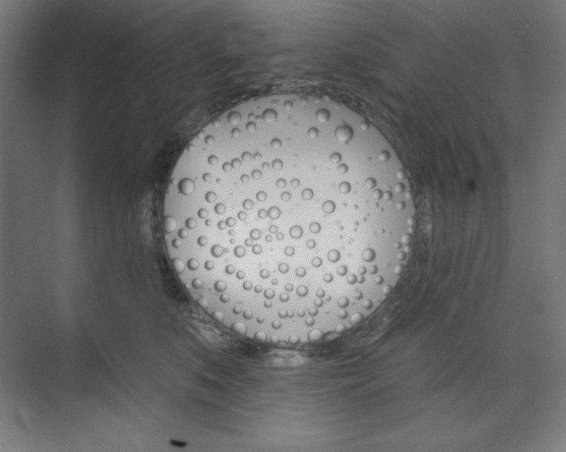 X0000073950519200608210946