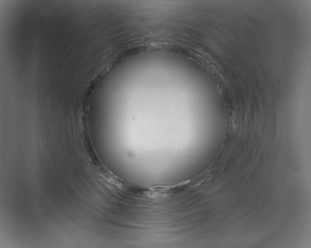 X0000073950520200608210946