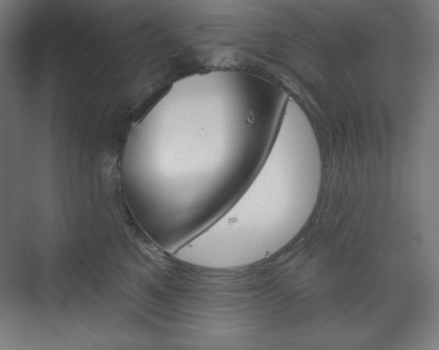X0000073950521200608210946