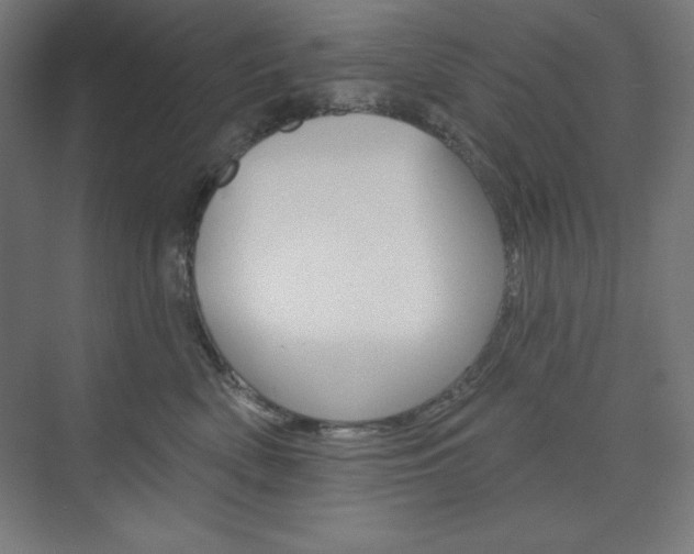 X0000073950522200608210945