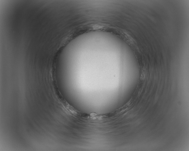 X0000073950524200608210945