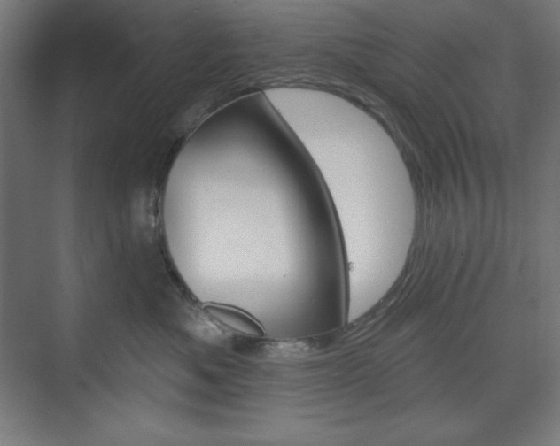 X0000073950525200608210945