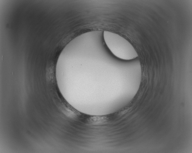 X0000073950526200608210945