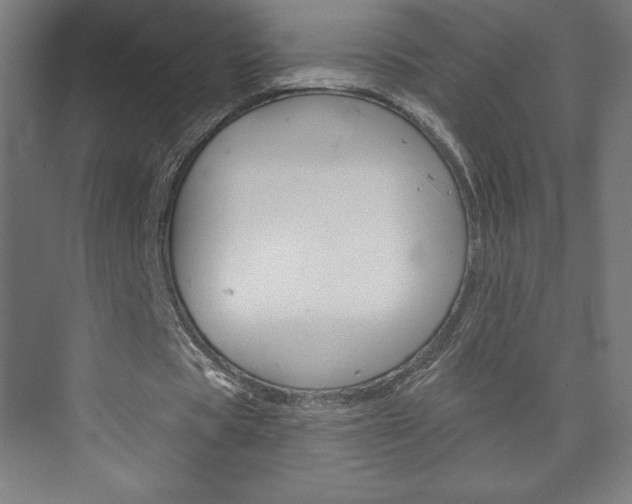 X0000073950529200608210945