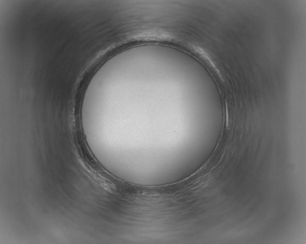 X0000073950531200608210945