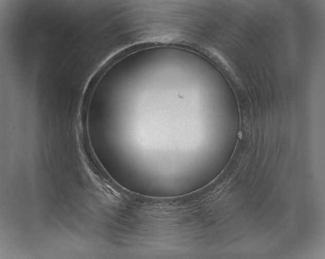 X0000073950532200608210945