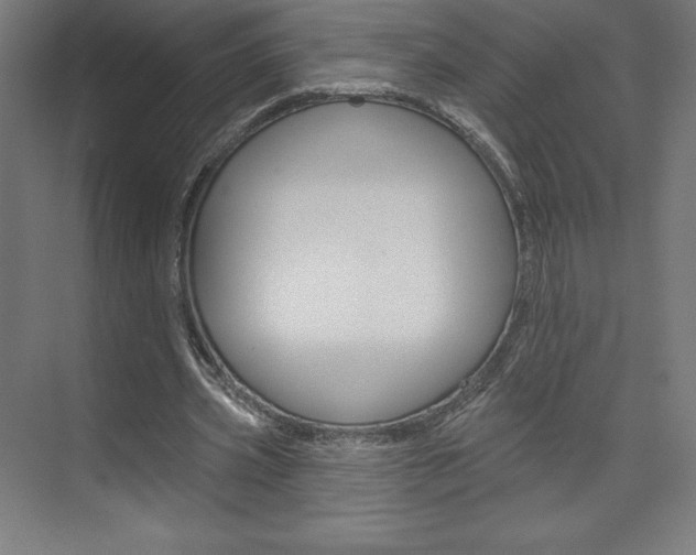 X0000073950533200608210945