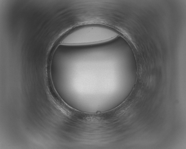 X0000073950535200608210945