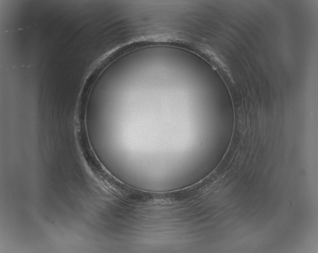X0000073950536200608210945