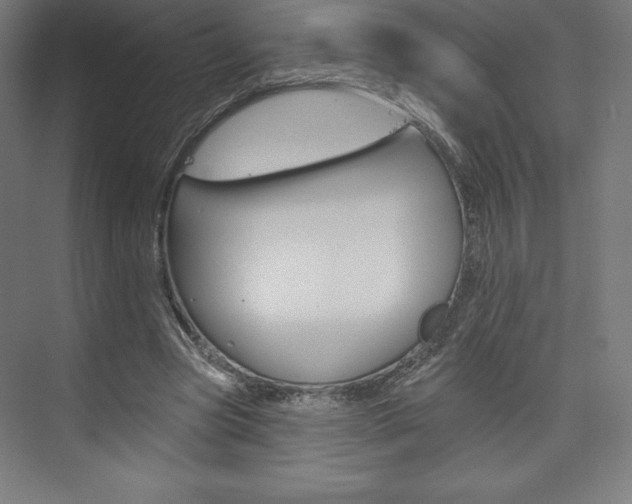 X0000073950537200608210945