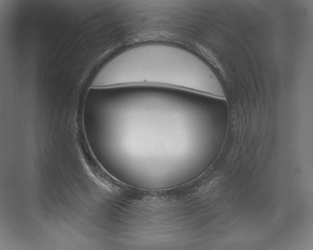 X0000073950538200608210945