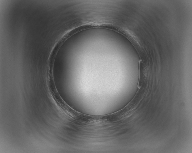 X0000073950540200608210945