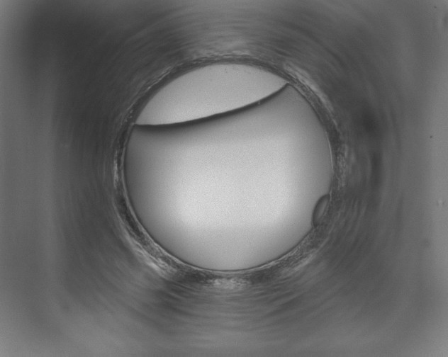 X0000073950541200608210945