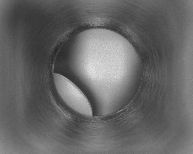 X0000073950543200608210945